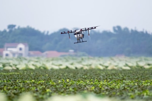 How can UK-based agricultural drone companies stay ahead of international competition?